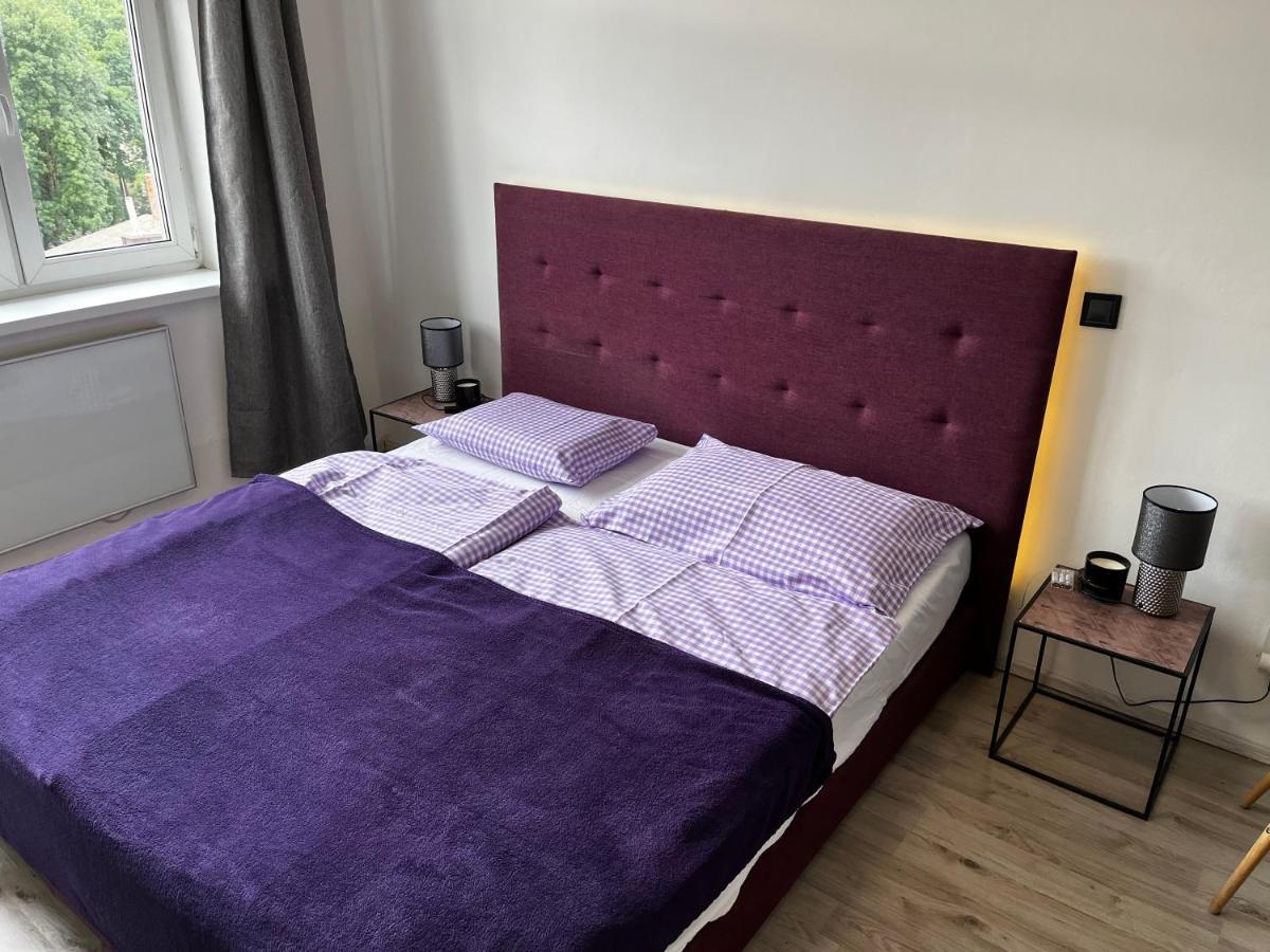 Large 3 Bedroom Apartment With City Skyline View Карловы Вары Экстерьер фото