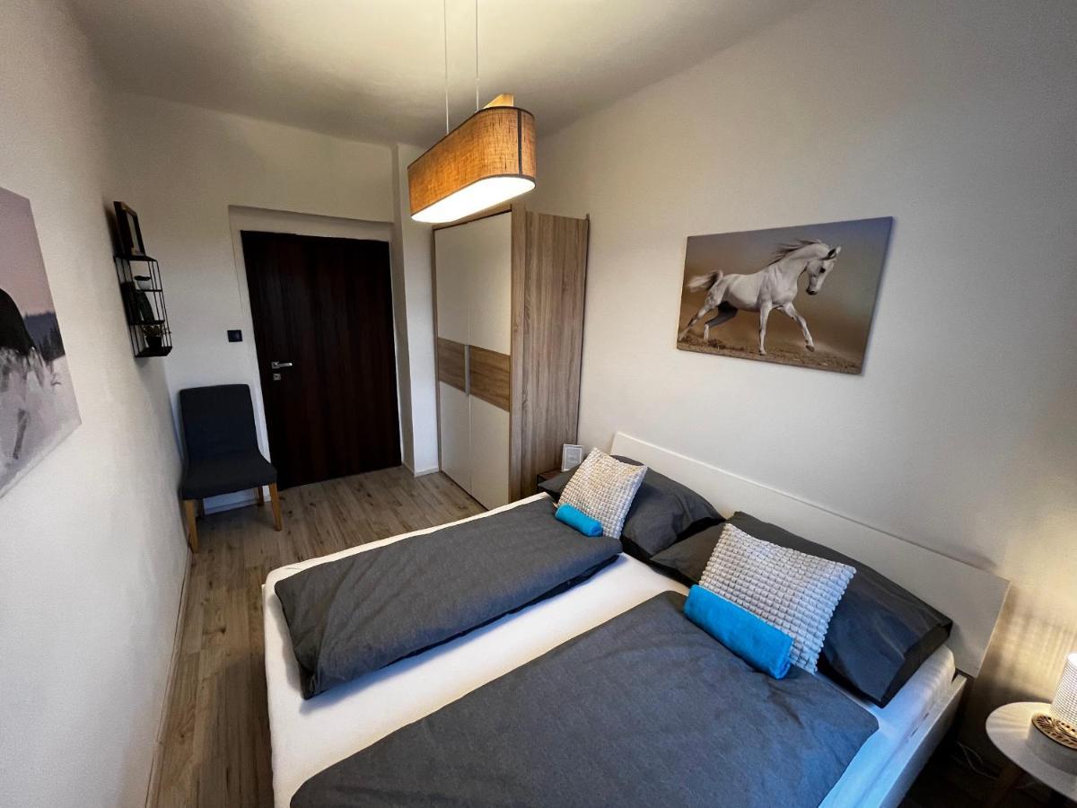 Large 3 Bedroom Apartment With City Skyline View Карловы Вары Экстерьер фото