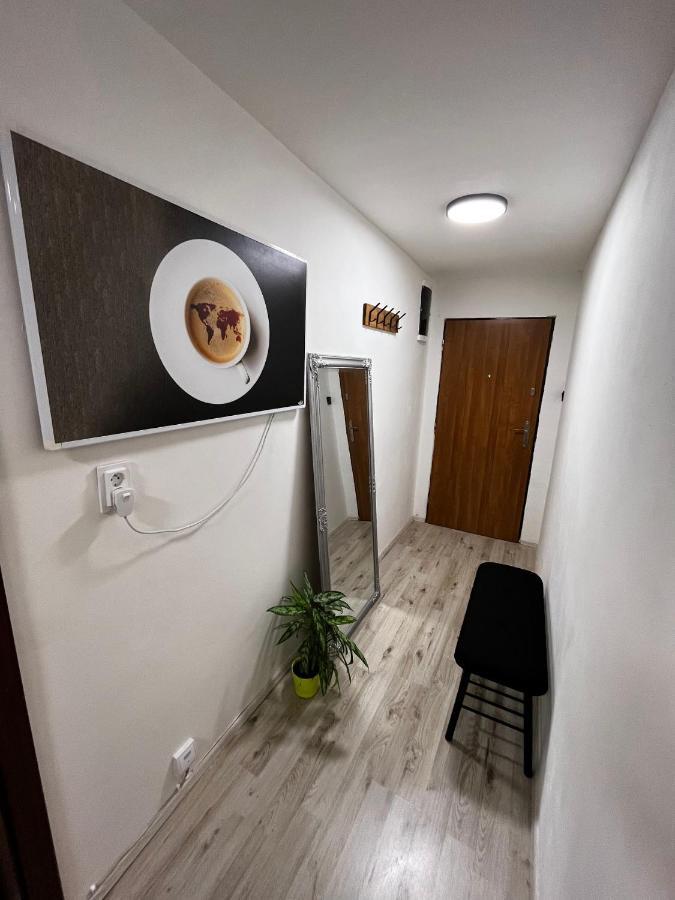 Large 3 Bedroom Apartment With City Skyline View Карловы Вары Экстерьер фото